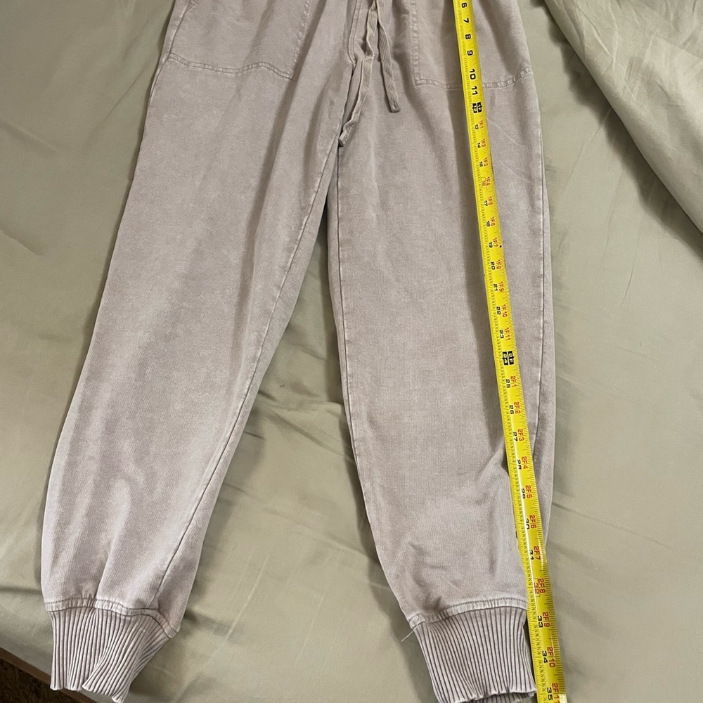 Jane and Delancey Gray Ankle Pants